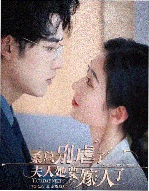 树影迷宫剧照3